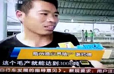 武汉电视台《新闻综合》频道报道先锋1号鲌鱼