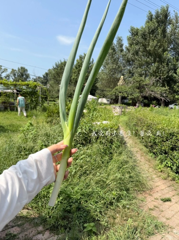 吴昌泽妻子晒牧场近照 辽宁前锋25-26赛季场均2.2分2.1篮板